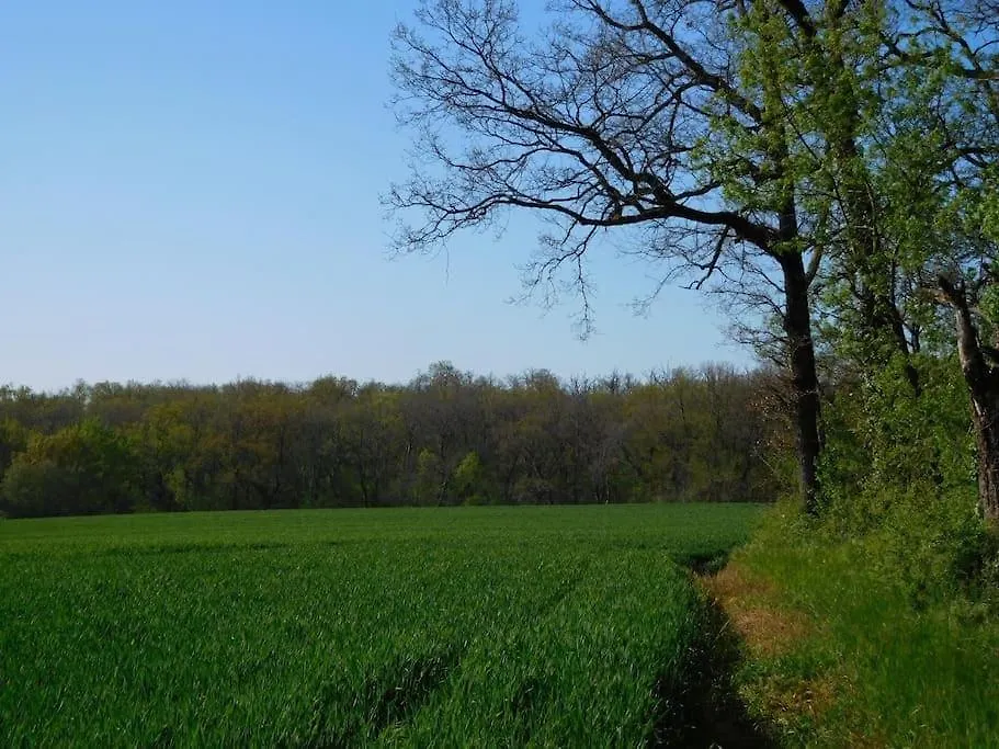 Grand Mas, 32 Hectares, Nature And Get-Togethers Mirepoix  Frankrijk