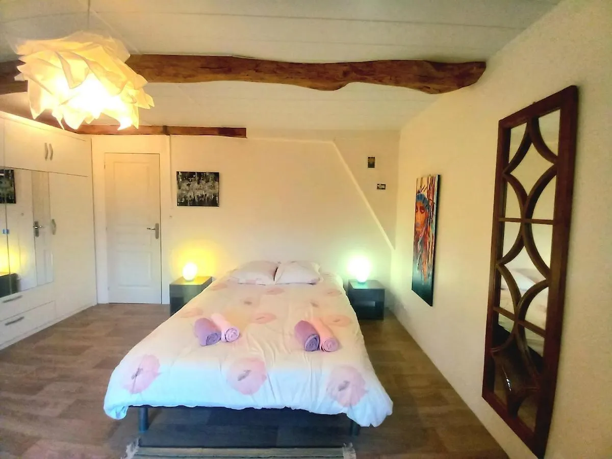 Vakantiehuis Grand Mas, 32 Hectares, Nature And Get-Togethers Mirepoix